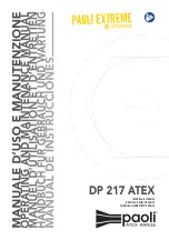Paoli DP 217 ATEX Operating And Maintenance Manual preview