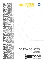 Paoli DP 256 BG ATEX Operating And Maintenance Manual preview