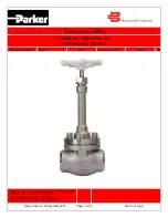 Parker DN80 Installation, Operation And Maintenance Manual предпросмотр