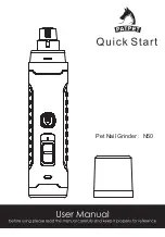 Patpet N50 Quick Start Manual preview