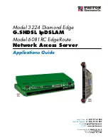 Patton electronics ForeFront 6081RC EdgeRoute Application Manual preview