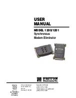 Preview for 1 page of Patton electronics SMARTNODE 1200 User Manual