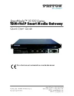 Preview for 1 page of Patton SmartNode 10100 Series Quick Start Manual