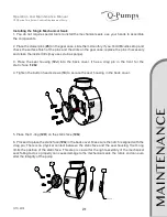 Preview for 21 page of Q-Pumps QTS Series Operation And Maintenance Manual