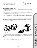 Preview for 25 page of Q-Pumps QTS Series Operation And Maintenance Manual