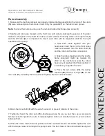 Preview for 29 page of Q-Pumps QTS Series Operation And Maintenance Manual