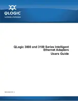 Qlogic 3000 Series User Manual preview