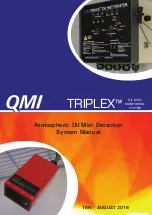 QMI TRIPLEX Manual preview