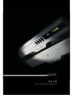 QUAD 99 Series Brochure & Specs preview