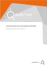 Quantum QN-I-200 Command Line Interface Manual предпросмотр