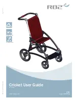 R82 Cricket User Guidance preview