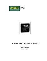 Rabbit 3000 User Manual предпросмотр