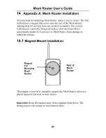 Preview for 41 page of Rae Mesh Router User Manual