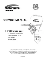 Raider 50 HP TLDI Service Manual preview