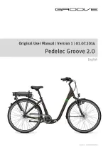 Предварительный просмотр 193 страницы Raleigh Pedelec Groove 2.0 User Manual