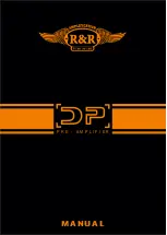 R&R Ampflication DP-13 Manual preview
