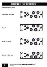 Preview for 13 page of R&R Ampflication SL Manual