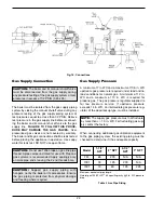 Предварительный просмотр 22 страницы Raypak 751 Installation And Operating Instructions Manual