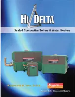 Raypak HI DELTA HD101 THRU 2342B Brochure & Specs предпросмотр