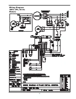 Preview for 21 page of Raypak Professional Series Installation & Operating Instructions Manual