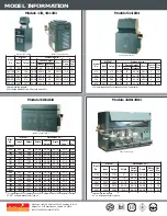 Preview for 4 page of Raypak RAYTHERM 133 Brochure & Specs