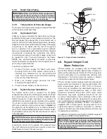 Preview for 13 page of Raypak Xtherm 1005A Installation And Operation Manual