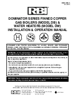 RBI DOMINATOR Series Installation And Operation Manual preview