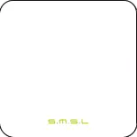 Preview for 2 page of S.M.S.L DL100 User Manual