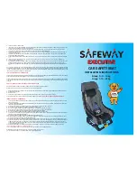 Safeway EXECUTIVE Installation Instructions preview