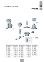 Preview for 43 page of Sagola DM Instruction Manual