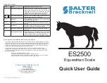 Предварительный просмотр 1 страницы Salter Brecknell ES2500 Quick User Manual