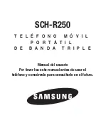 Preview for 1 page of Samsung SCH-R250 Manual Del Usuario