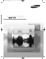 Preview for 1 page of Samsung SP42L6HN Owner'S Instructions Manual