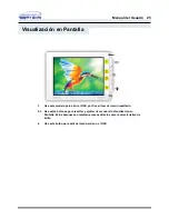 Preview for 25 page of Samsung SyncMaster 171B, 171S, 181B, 171T, 171Q Manual Del Usuario