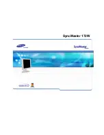 Samsung SyncMaster 172W User Manual preview