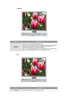 Предварительный просмотр 28 страницы Samsung SyncMaster 204Ts User Manual