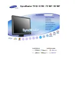 Samsung SyncMaster 731B, 931B, 731BF, 931BF Owner'S Manual preview