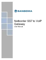 Sangoma Netborder SS7 User Manual preview