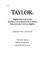 Taylor 3842 Instruction Manual preview