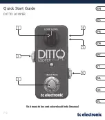 TC Electronic DITTO LOOPER Quick Start Manual preview