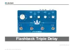 TC Electronic Flashback Triple Delay Manual preview