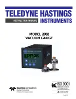 ​​​​​​​​​​​​​Teledyne Hastings Instruments 2002 Instruction Manual preview
