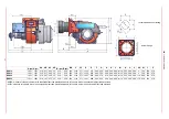 Предварительный просмотр 10 страницы Unigas RG91 Manual