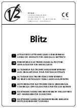 V2 Blitz Manual preview