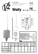 V2 Wally Series Quick Start Manual preview