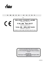 Valor COSYFLAME BR623 Owner'S Manual preview
