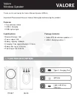 Valore BTS43 Manual предпросмотр
