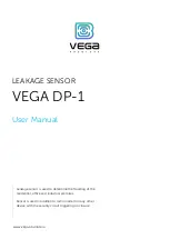 Vega DP-1 User Manual preview