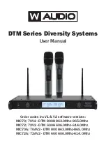 Preview for 1 page of W Audio DTM Series User Manual