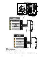 Предварительный просмотр 34 страницы Walchem W900 Series Instruction Manual